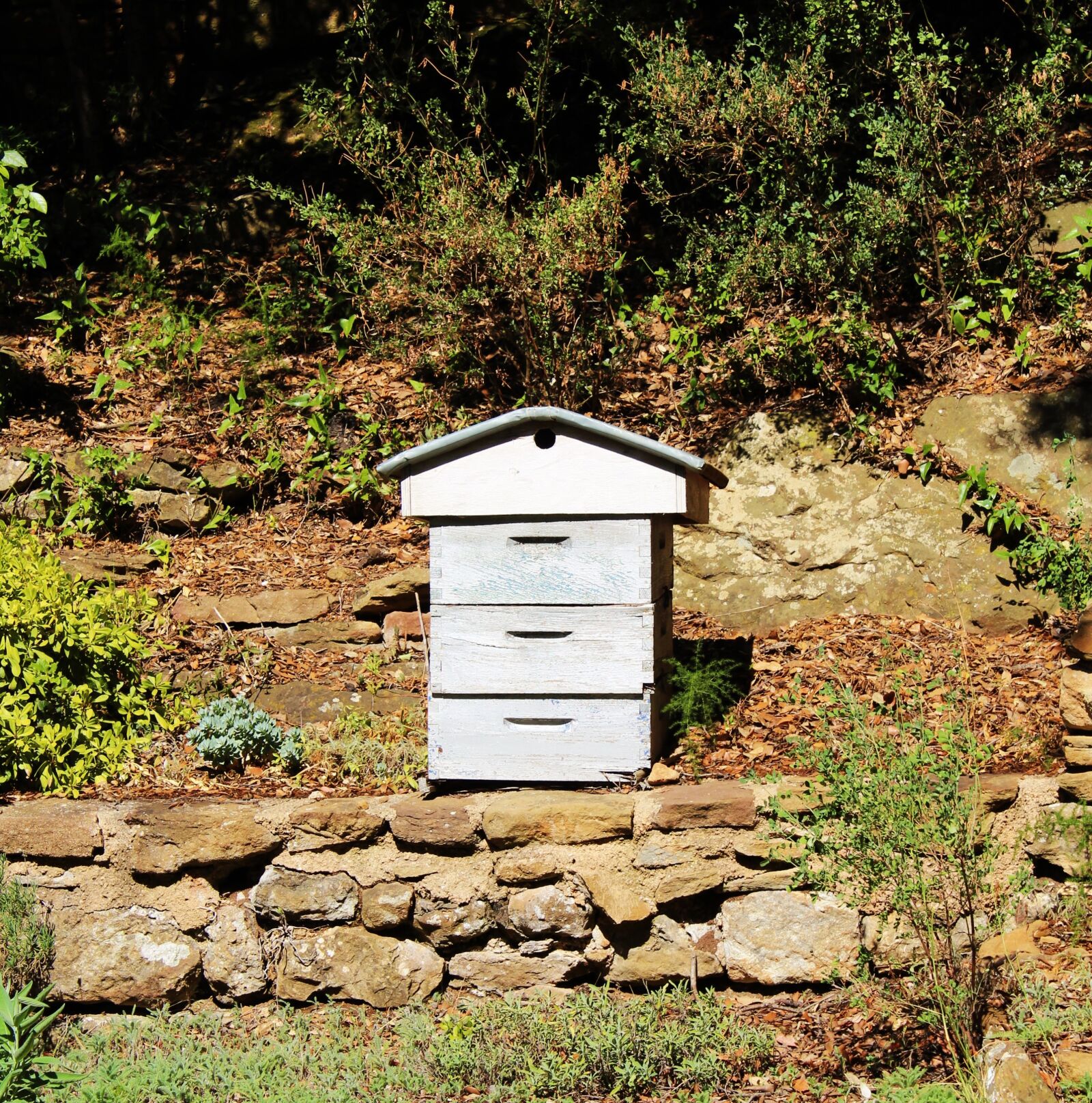 Canon EOS 1200D (EOS Rebel T5 / EOS Kiss X70 / EOS Hi) sample photo. Hive, beekeeping, garden photography