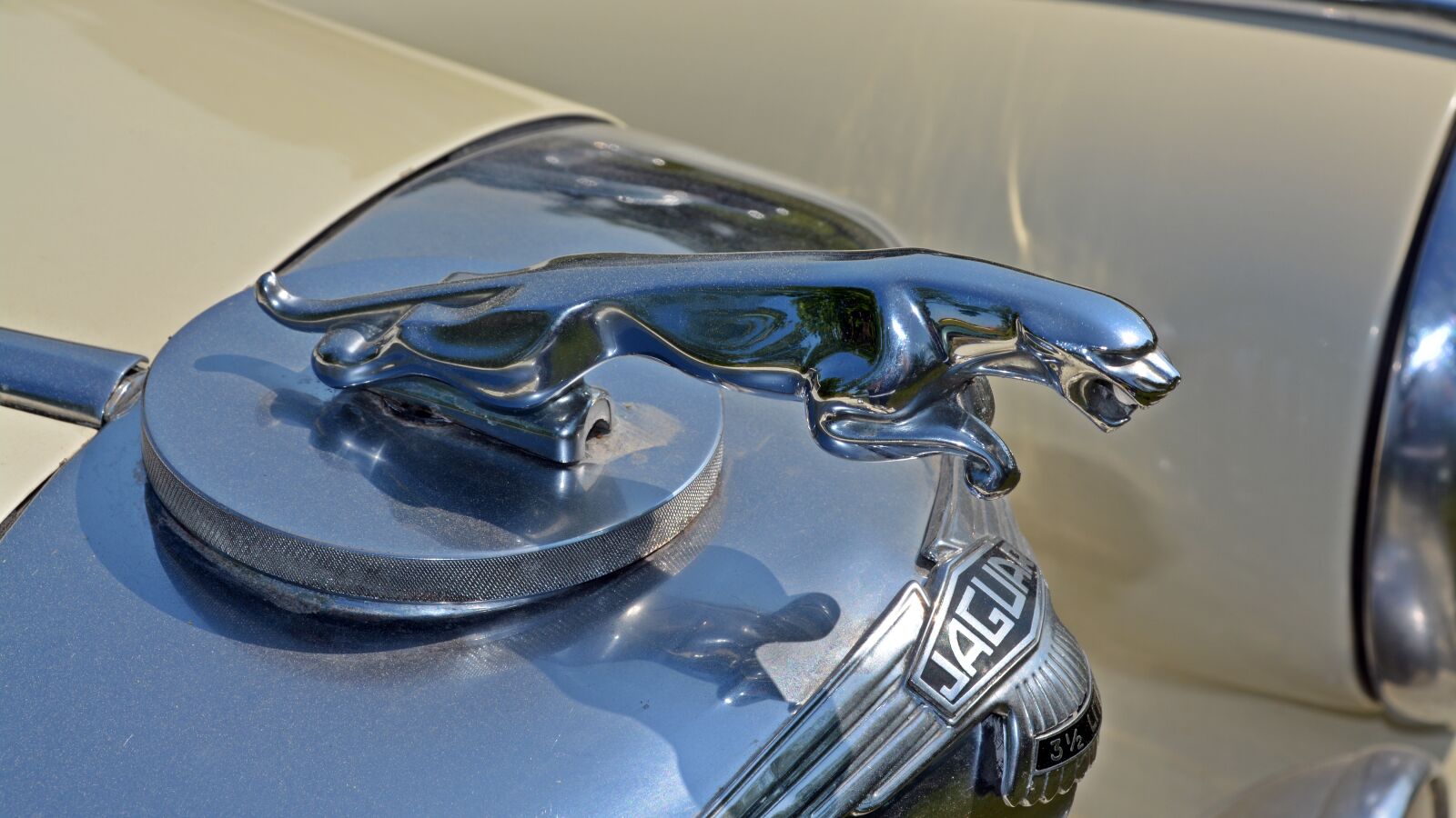 Nikon D5200 sample photo. Oldtimer, jaguar, cool figure photography
