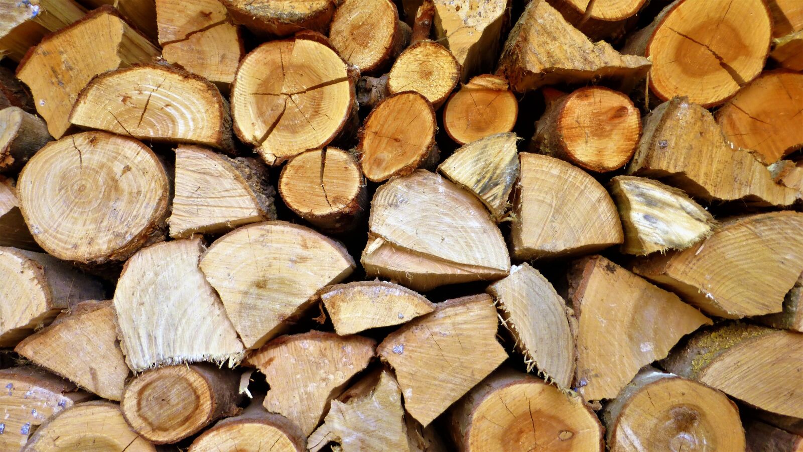 Panasonic Lumix DMC-ZS25 (Lumix DMC-TZ35) sample photo. Wood pile, firewood, wallpaper photography