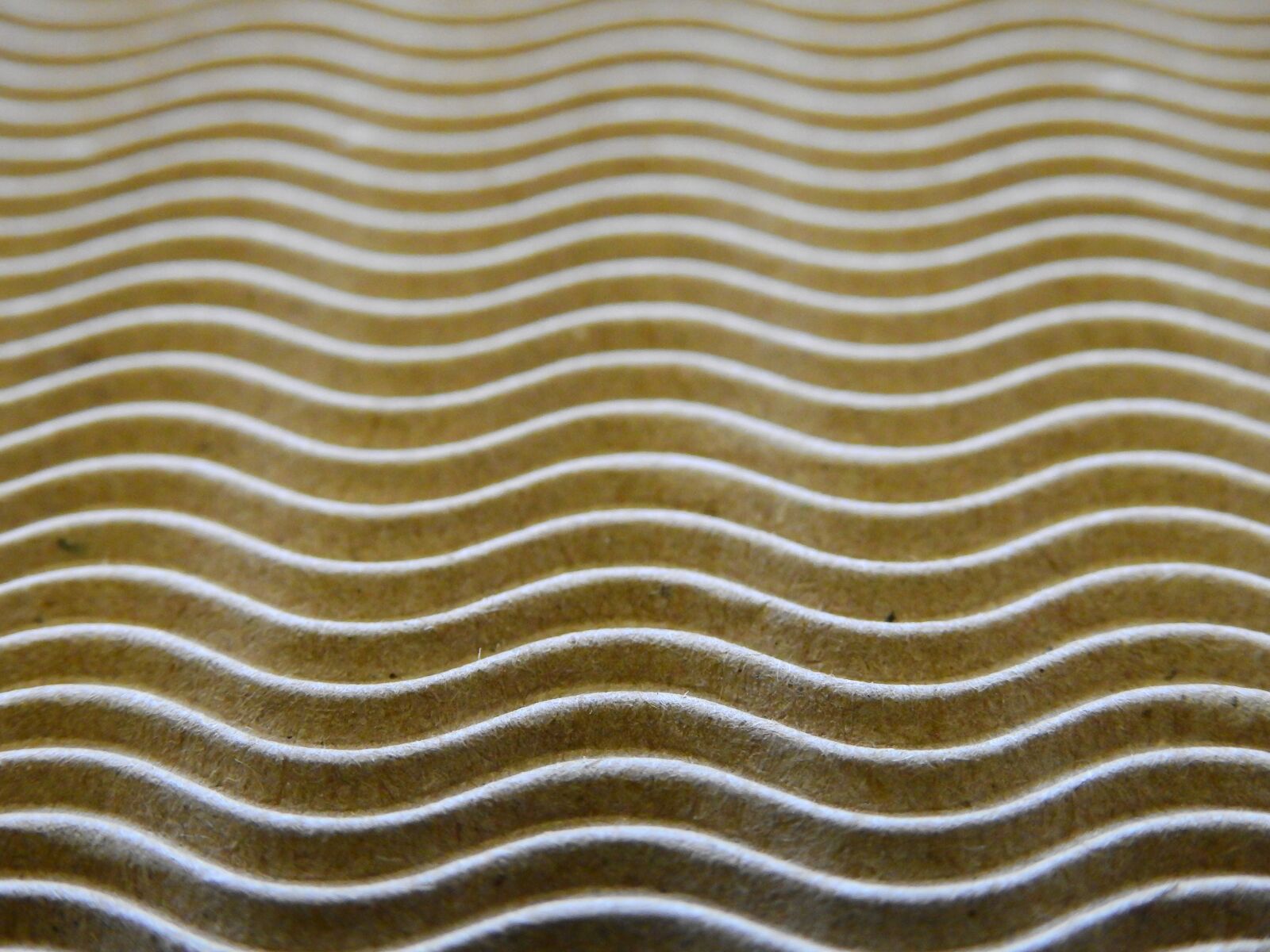 Nikon Coolpix P900 sample photo. Cardboard, corrugated board, packaging photography