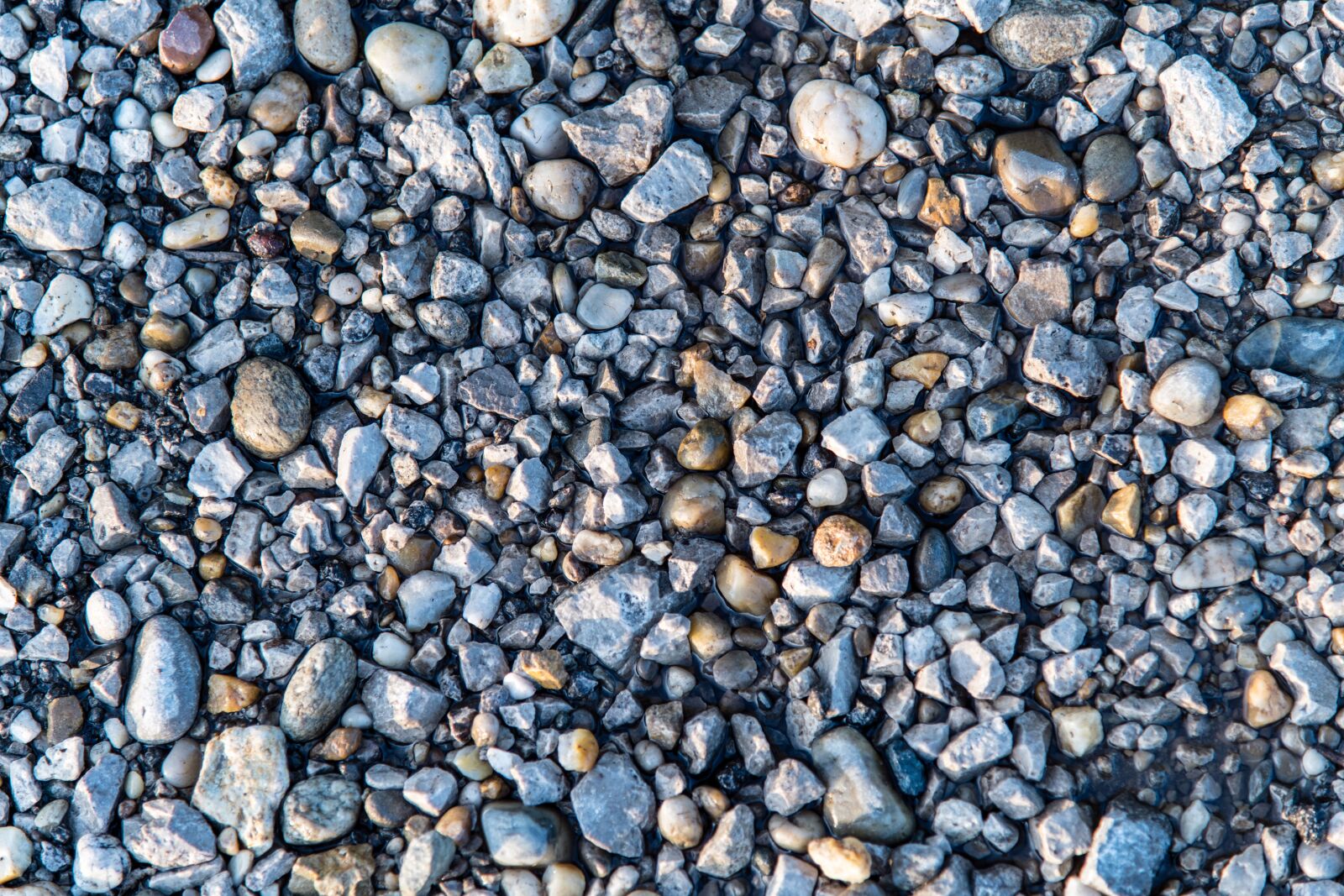 Nikon D850 sample photo. Nature, stones, texture photography