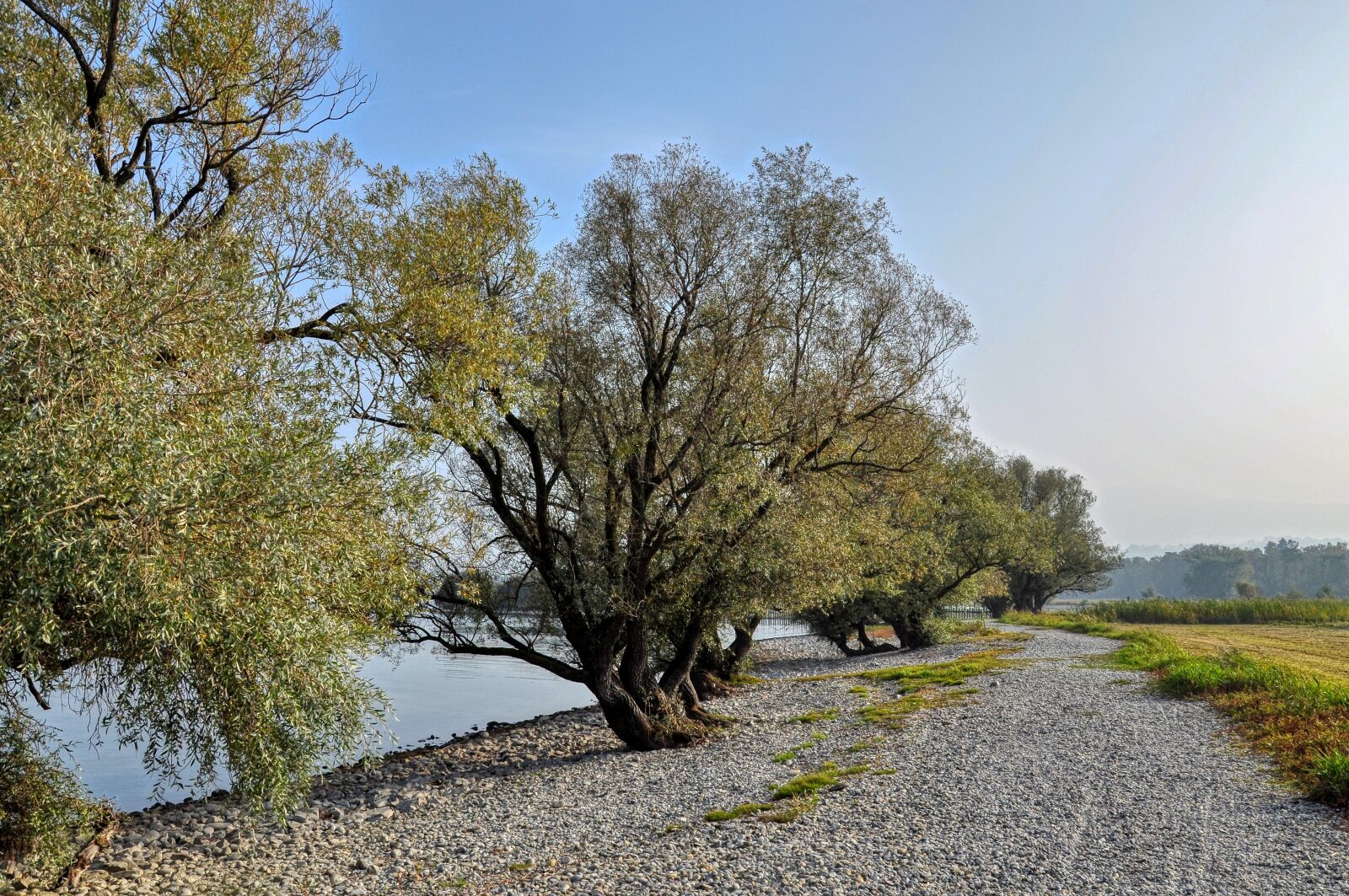 Nikon D5000 sample photo. Lake, bank, nature photography