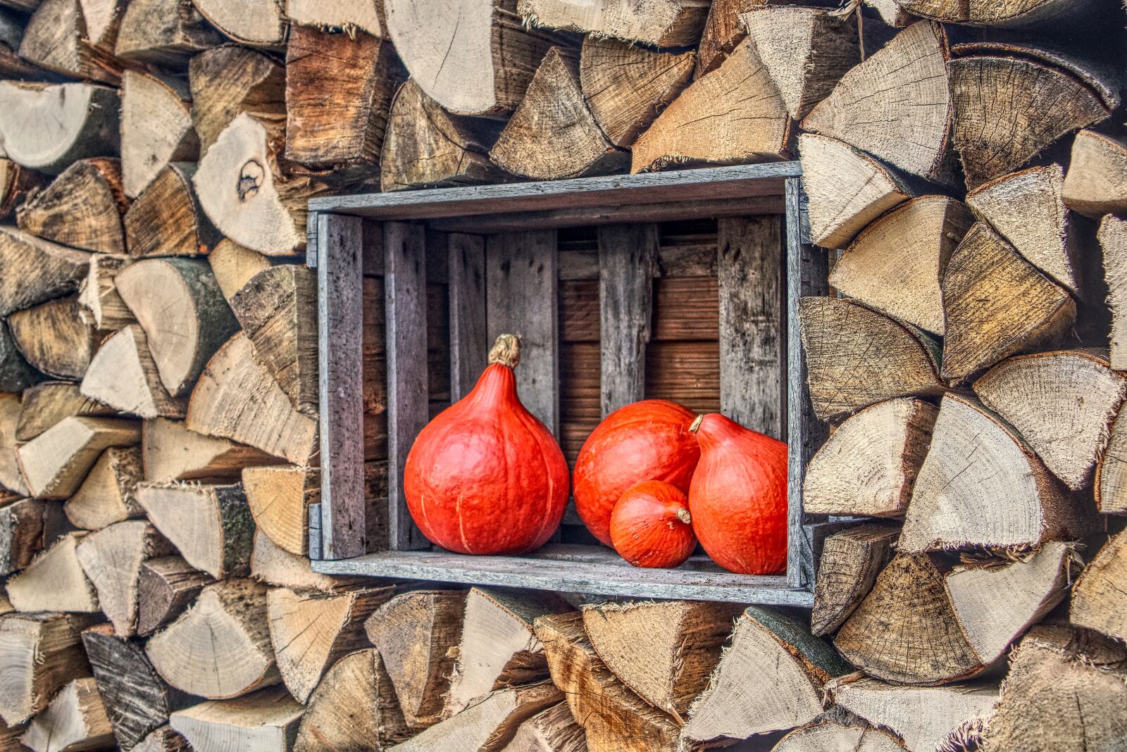 Sony a6000 + Sony E 35mm F1.8 OSS sample photo. Pumpkin, hokkaido, food photography