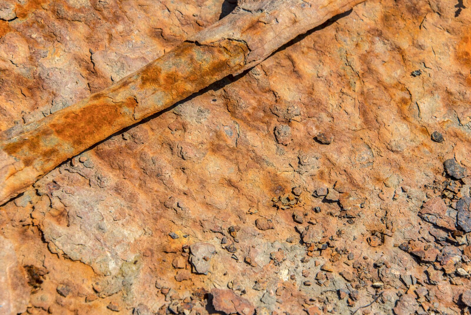 Nikon D610 sample photo. Peeling paint, rust, orange photography