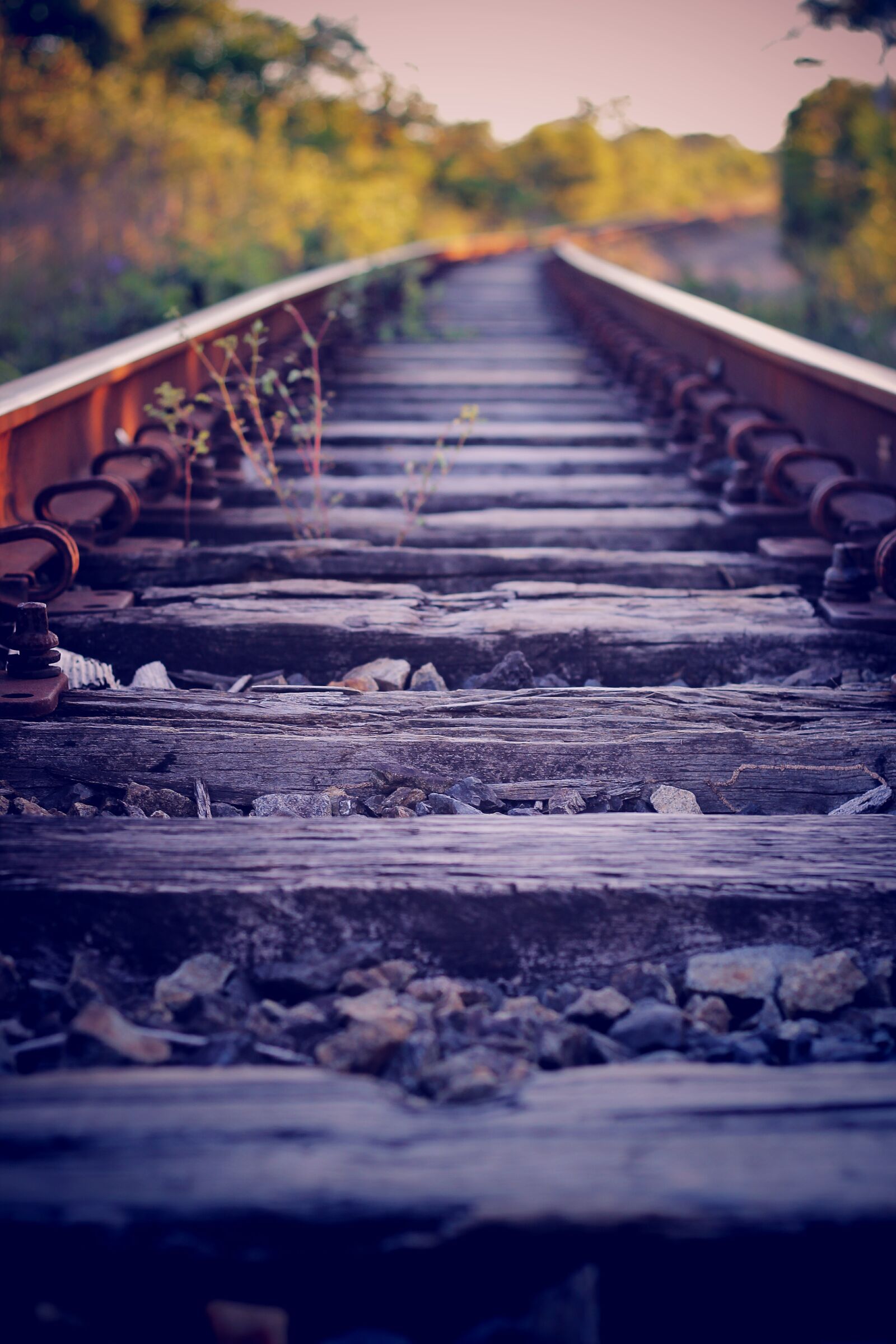 Canon EOS 600D (Rebel EOS T3i / EOS Kiss X5) sample photo. Rails, outdoors, trip photography
