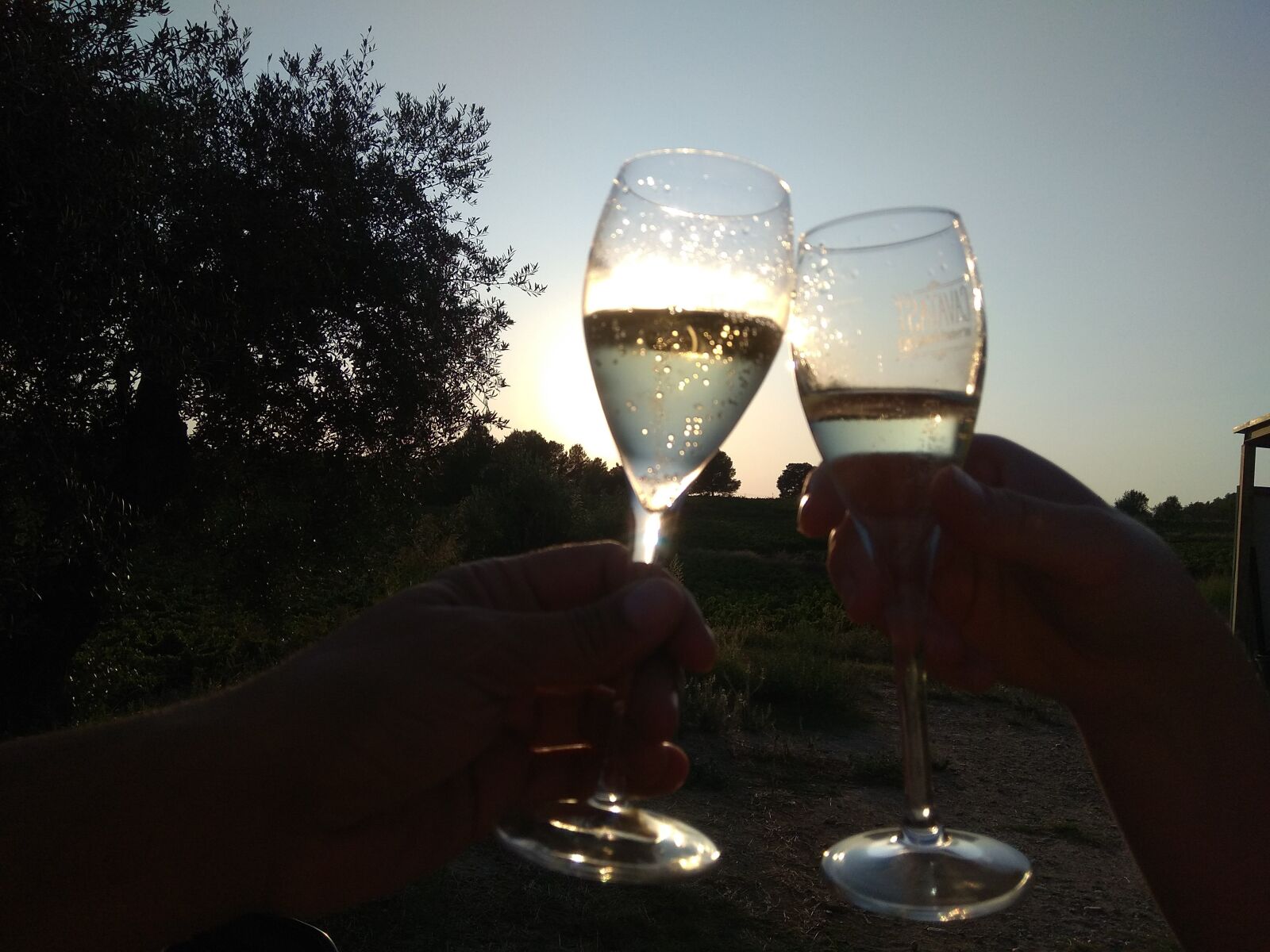 Xiaomi Redmi Note 4 sample photo. Toast, cava, vineyard photography