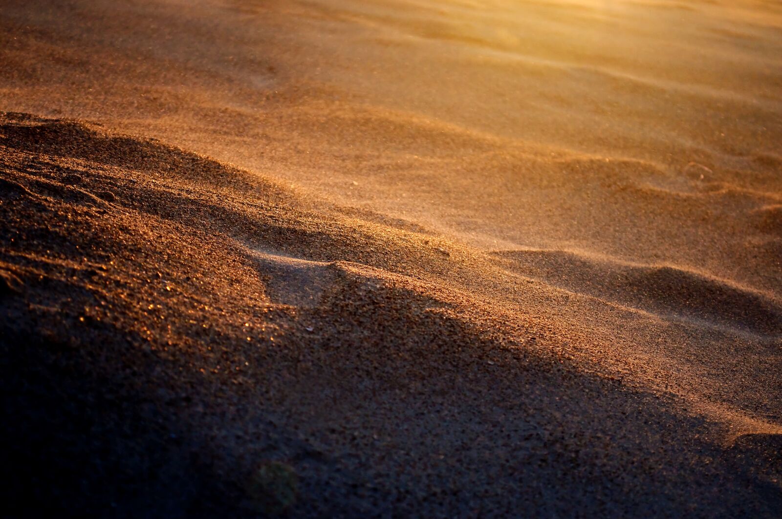 Nikon D90 sample photo. Desert, nature, sand photography