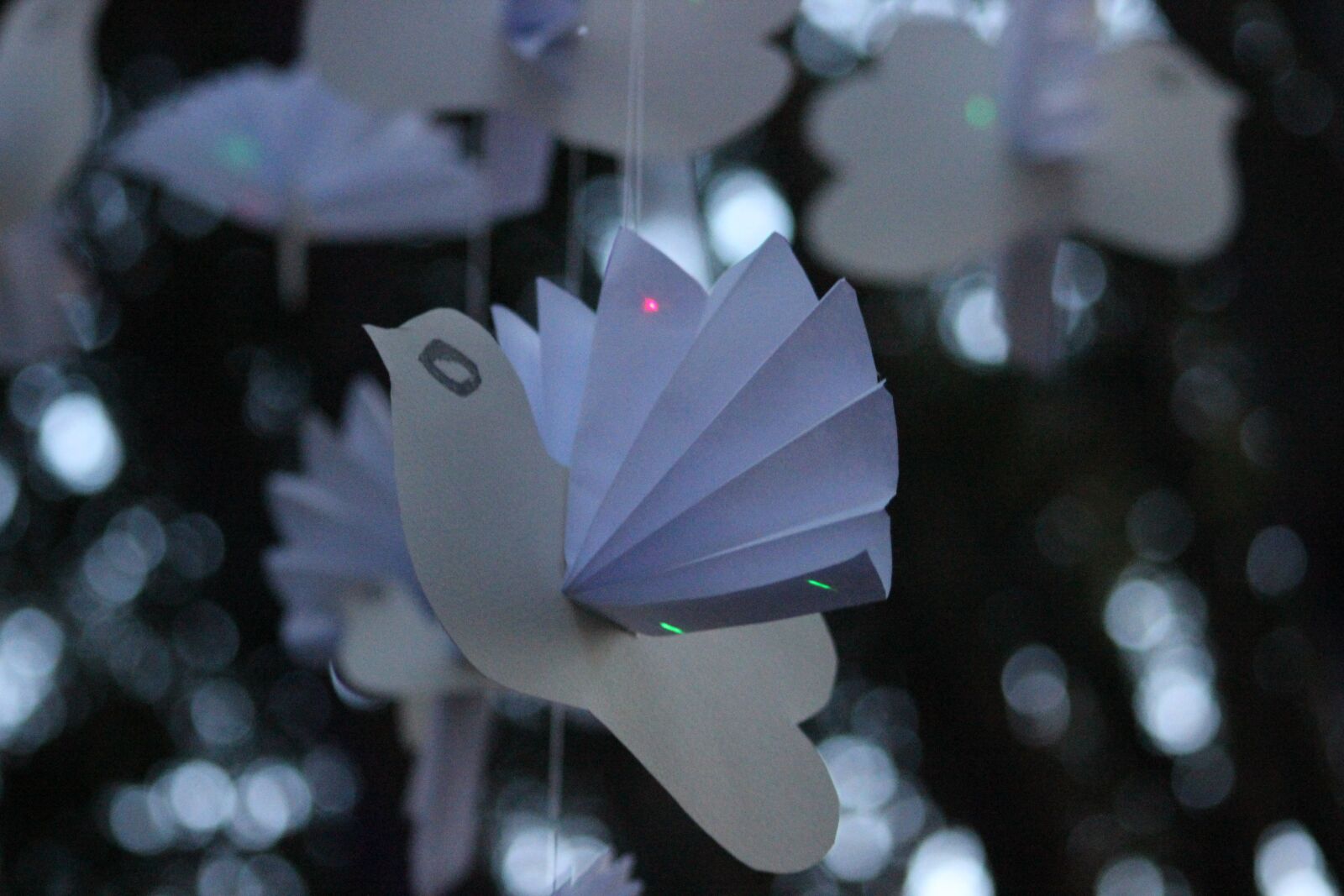 Canon EOS 600D (Rebel EOS T3i / EOS Kiss X5) sample photo. Dove, white, paper photography