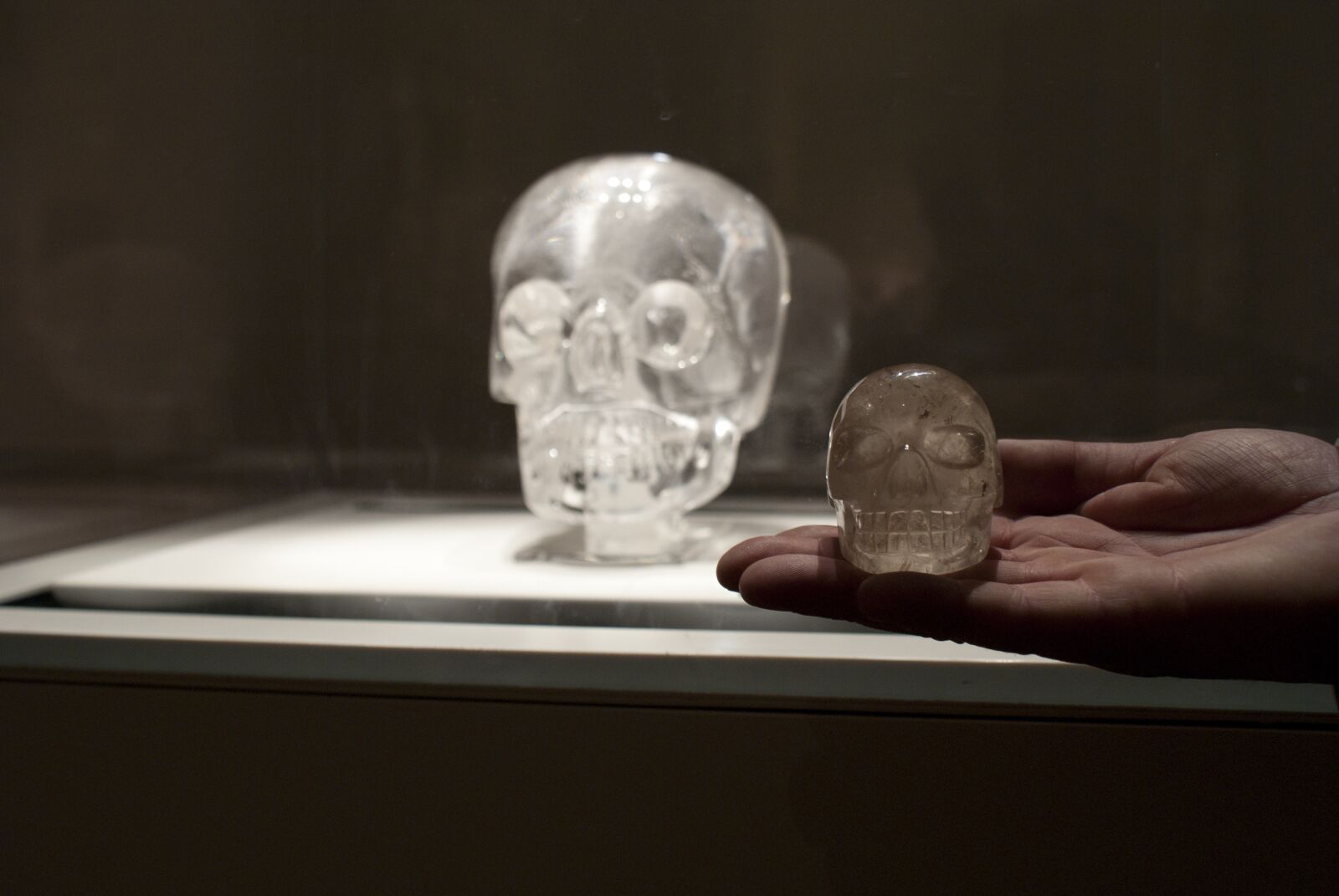 Sony Alpha DSLR-A200 sample photo. Skull, crystal, museum photography