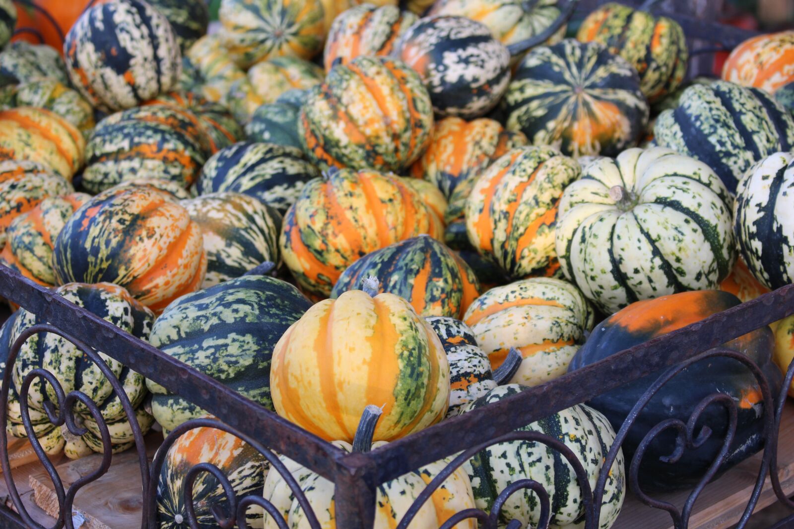 Canon EOS 700D (EOS Rebel T5i / EOS Kiss X7i) sample photo. Pumpkin, autumn, decorative squashes photography