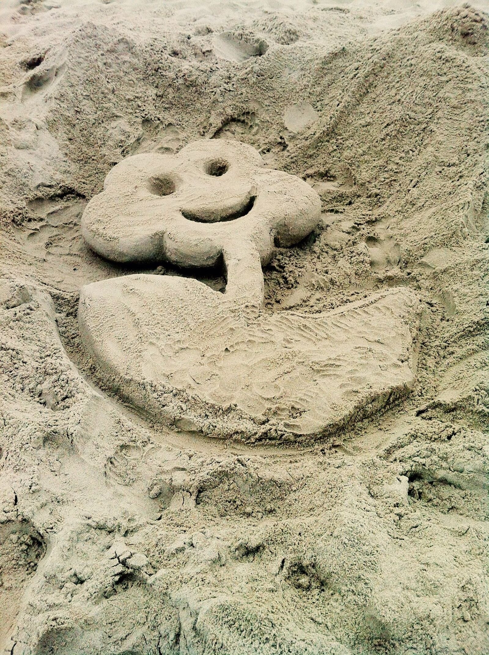iPhone 4 back camera 3.85mm f/2.8 sample photo. Flower, smile, sand photography