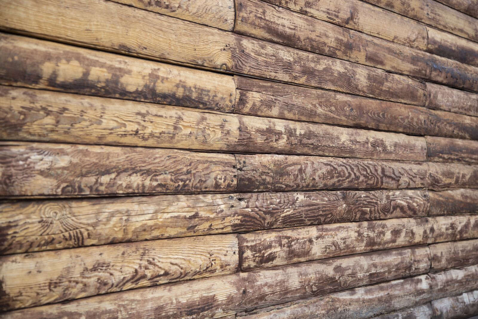 Canon EF 24-105mm F4L IS USM sample photo. Wall, tree, wood photography