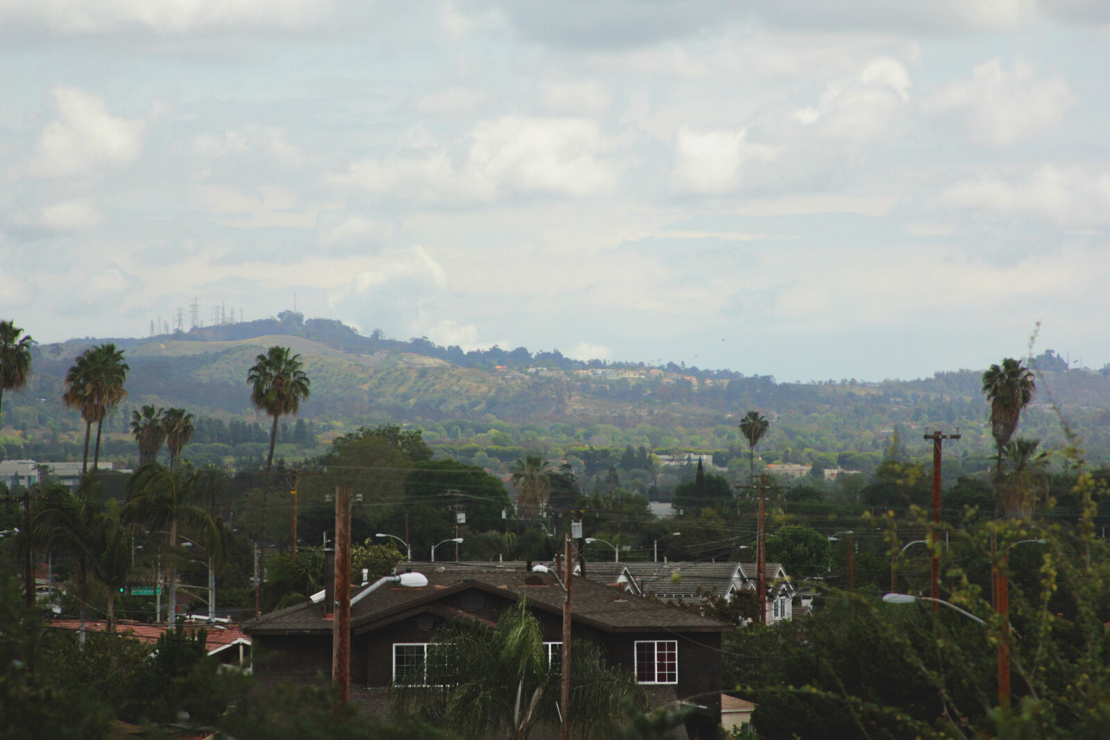 Canon EOS 550D (EOS Rebel T2i / EOS Kiss X4) sample photo. City, green, nature photography
