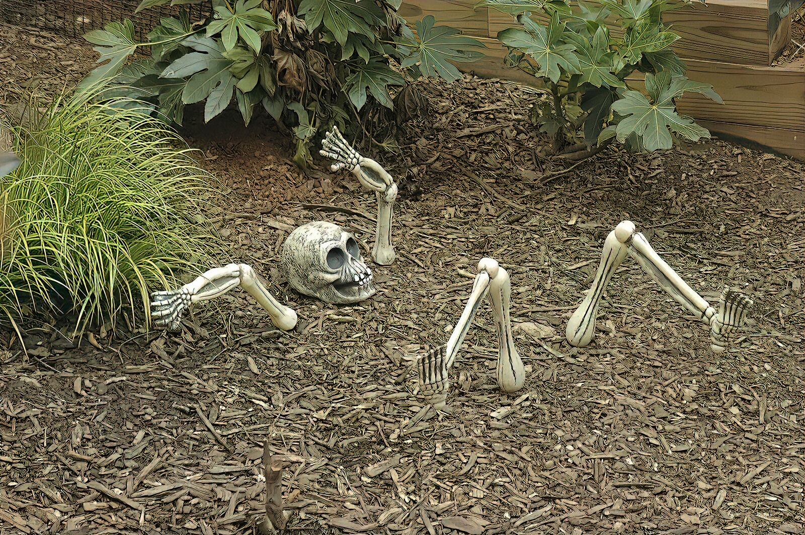 Nikon D70s sample photo. Skeleton, horror, grave photography