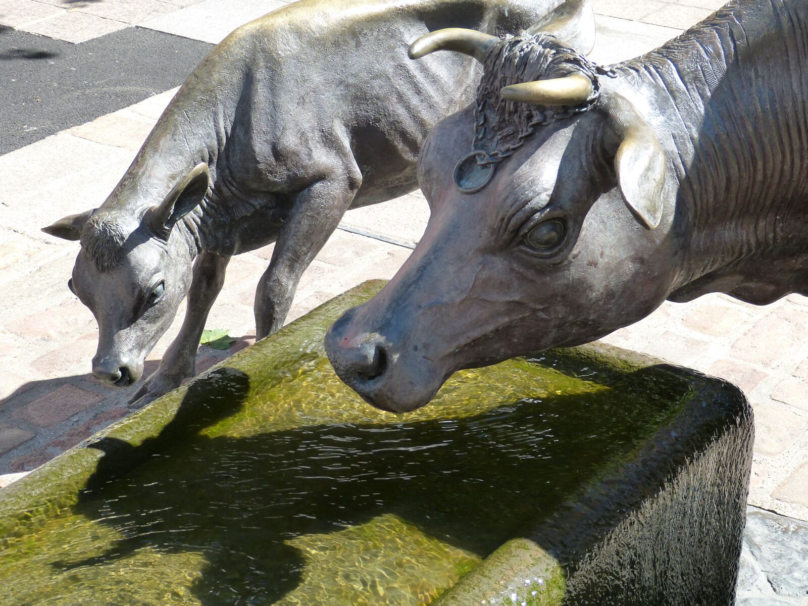 Panasonic Lumix DMC-FZ150 sample photo. Jersey, st helier, capital photography