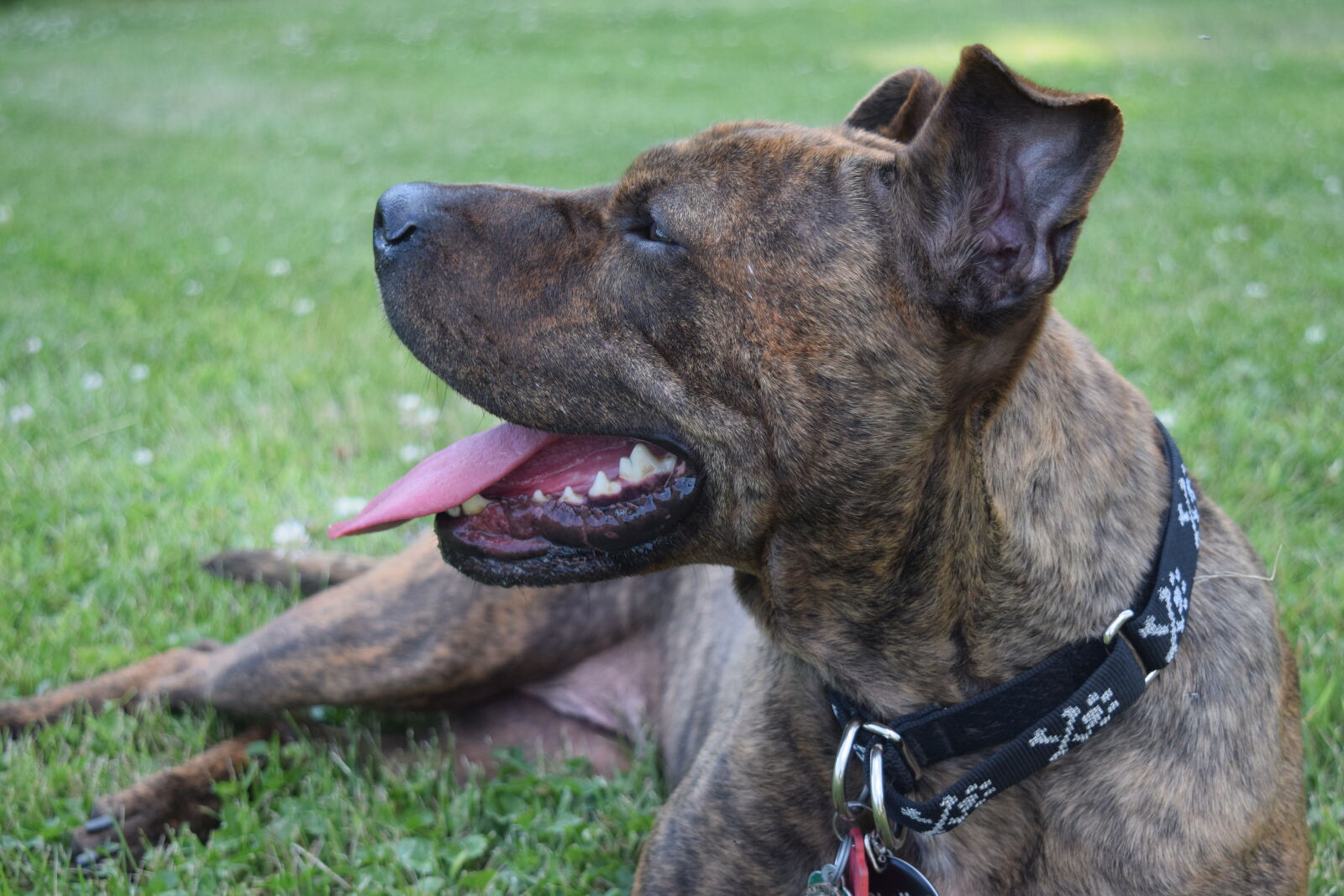 Nikon D3300 sample photo