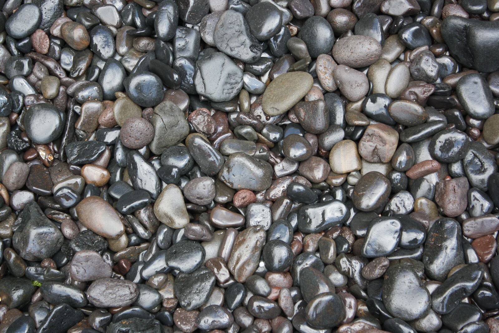 Canon EOS 1000D (EOS Digital Rebel XS / EOS Kiss F) sample photo. Wet, pebbles, stones photography