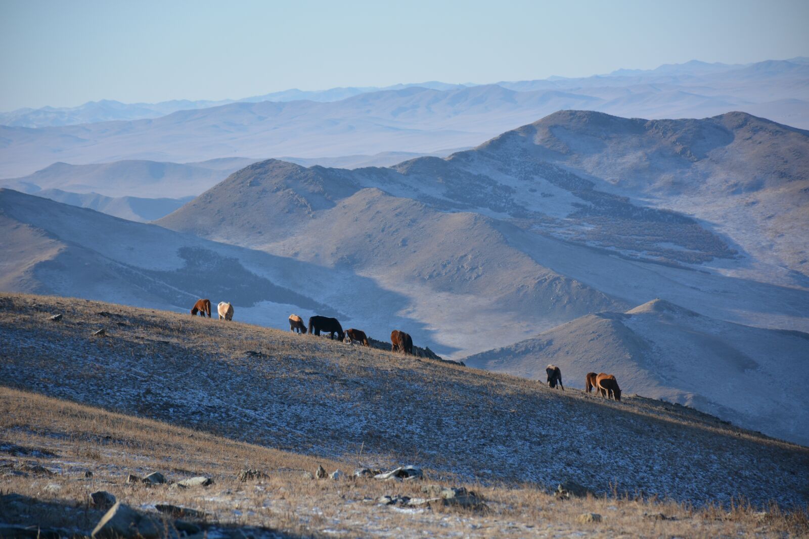 Nikon D7100 sample photo. Mountain, livestock, horses photography