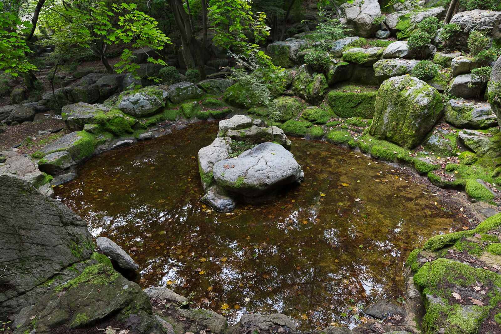 Canon EF 24-70mm F2.8L II USM sample photo. Korea national, daegu, gyeongju photography