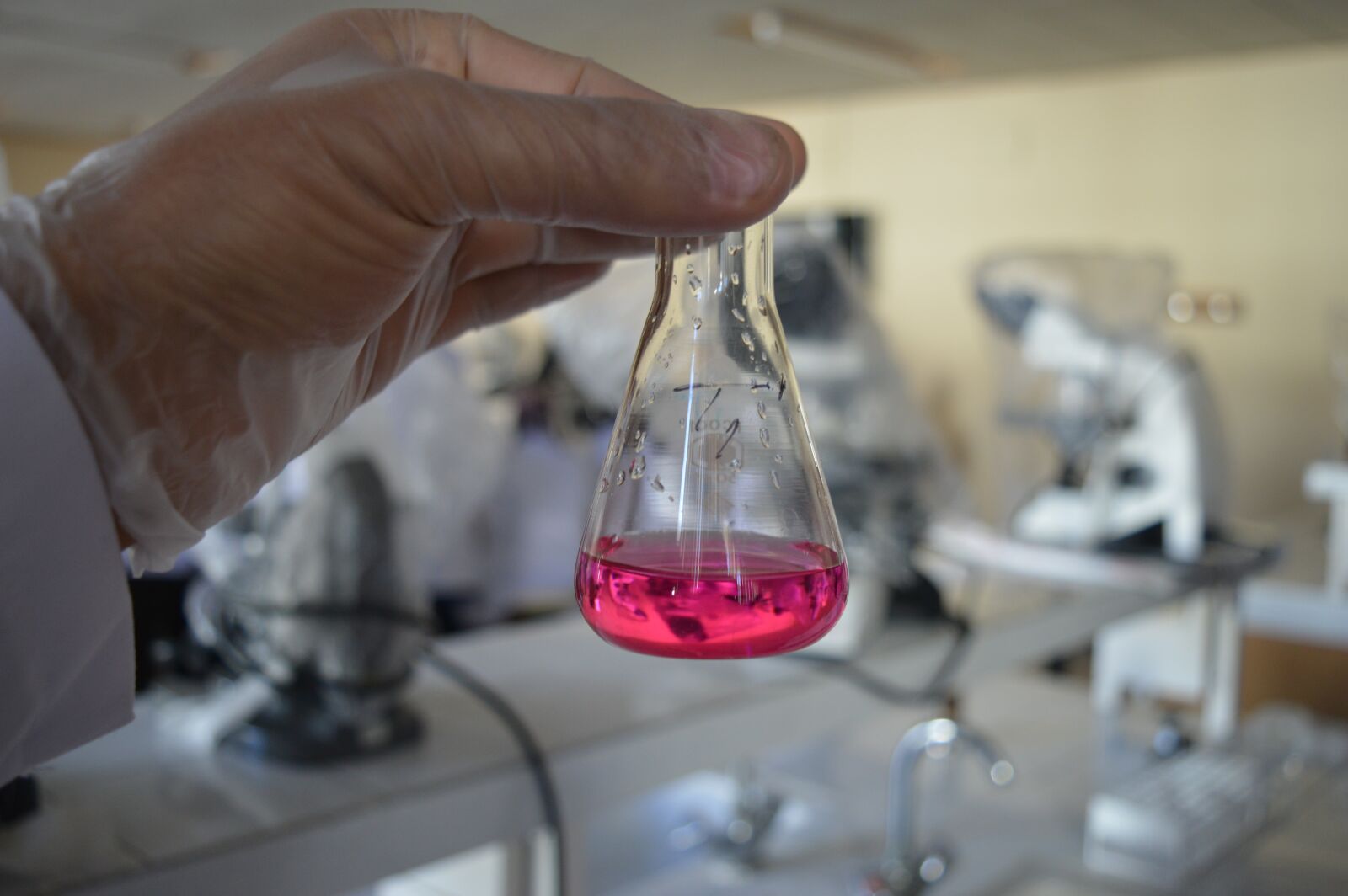 Nikon D3200 sample photo. Research, laboratory, biology photography