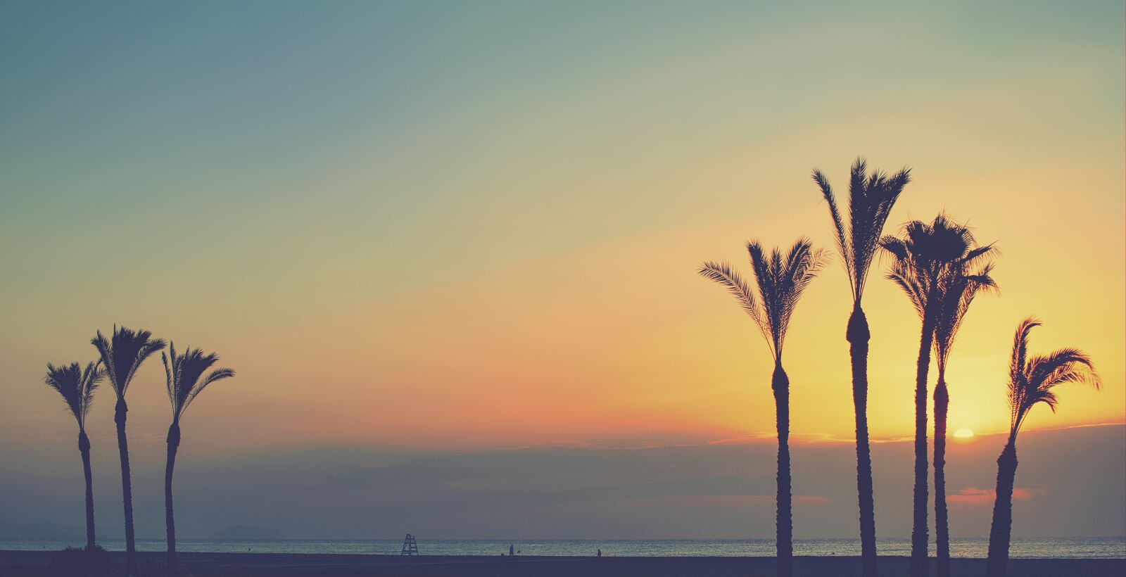 Nikon D3300 sample photo. Trees, palm trees, beach photography