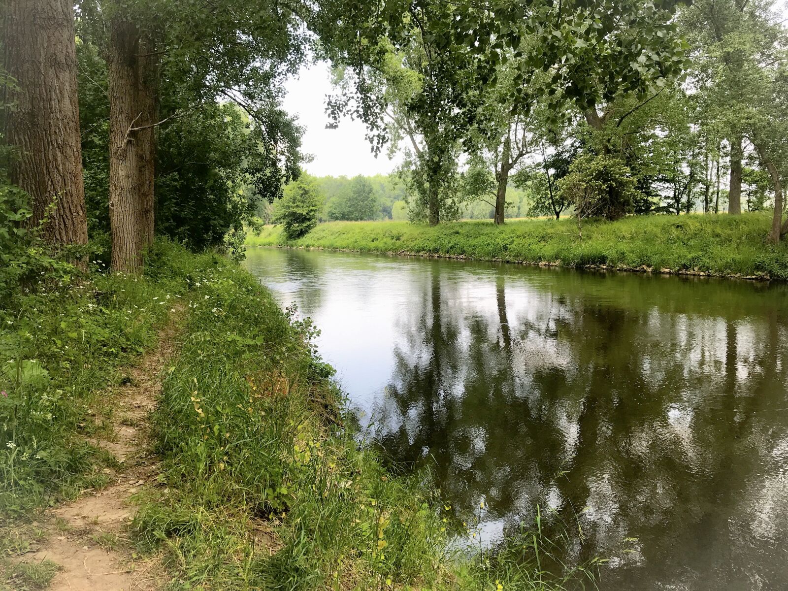 iPhone 7 back camera 3.99mm f/1.8 sample photo. Leash, river, sky photography