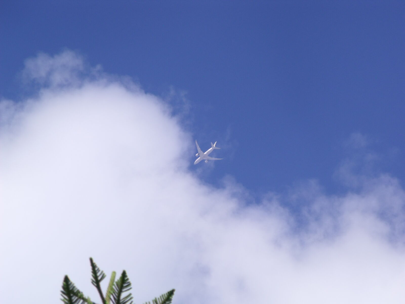 Fujifilm FinePix S1500 sample photo