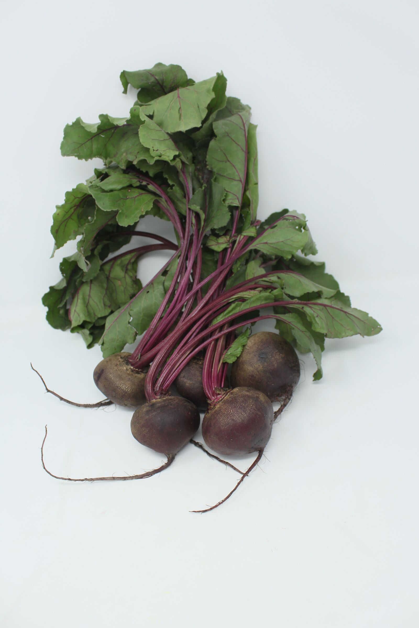 Canon EOS 700D (EOS Rebel T5i / EOS Kiss X7i) sample photo. Sakata, beetroot, redace photography