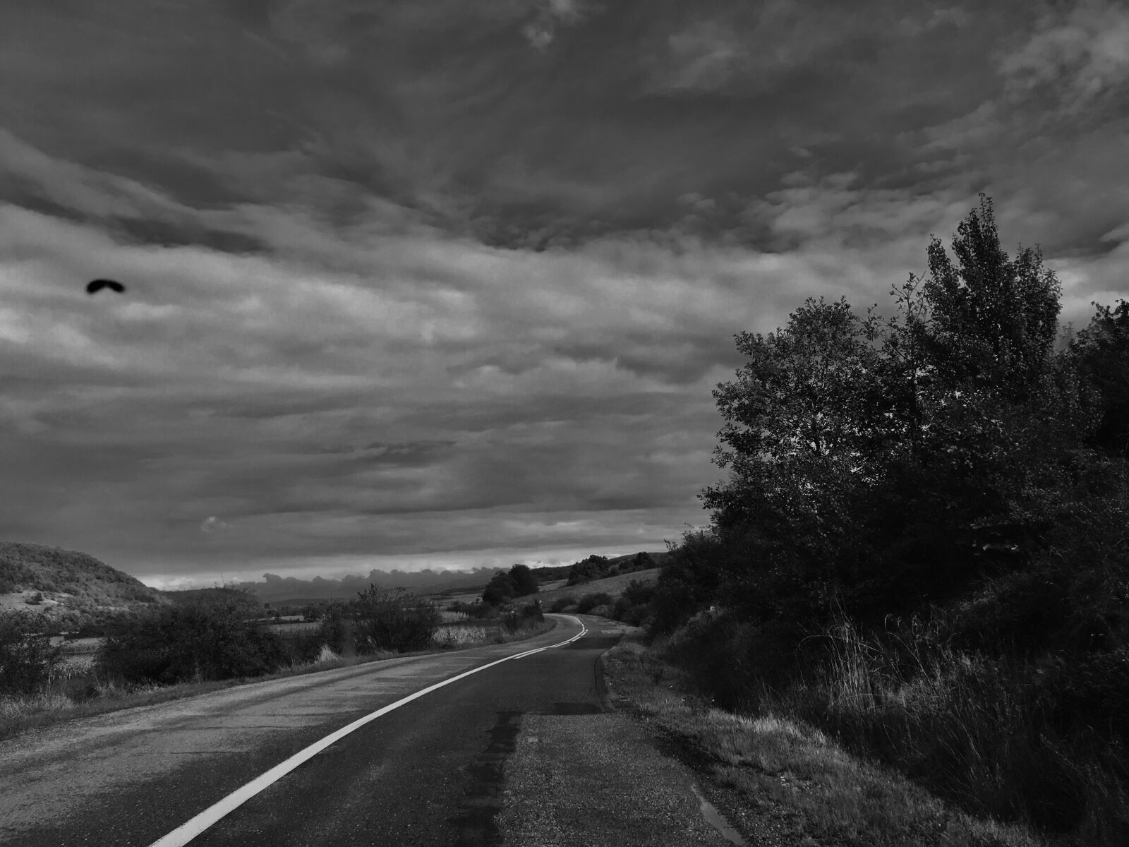 iPhone 6s back camera 4.15mm f/2.2 sample photo. Road, romania, black and photography