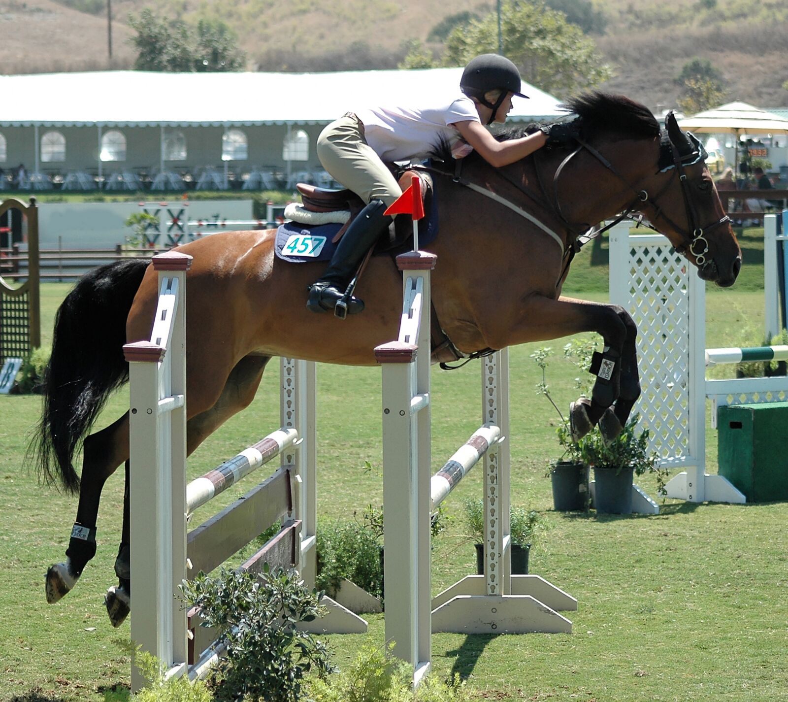 Nikon D70s sample photo. Horse, horses, horseback photography