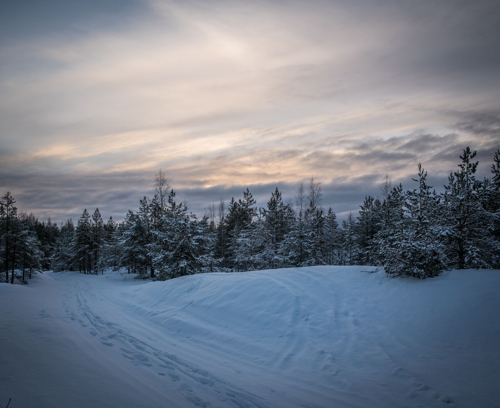 Sony a7R II + Canon EF 24-70mm F2.8L II USM sample photo. Snow, winter, coldly photography