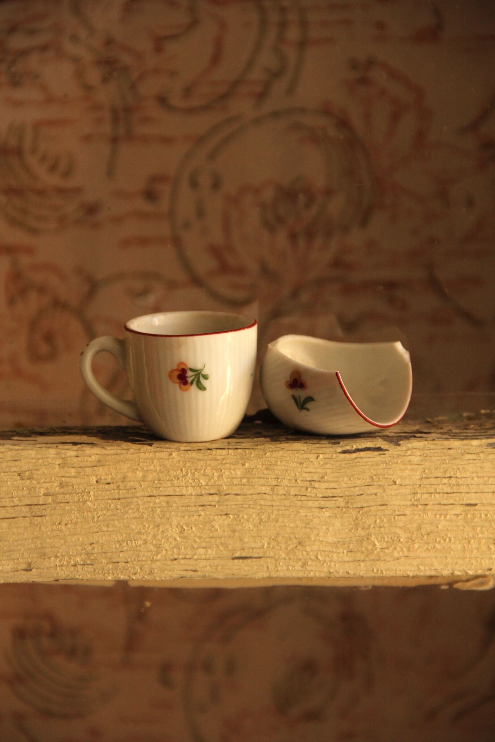 Canon EOS 550D (EOS Rebel T2i / EOS Kiss X4) sample photo. Cup, child, duck photography
