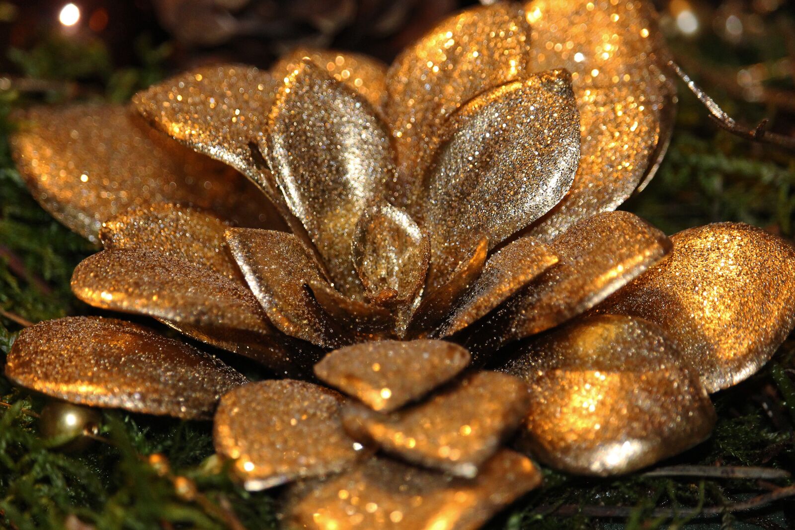 Canon EF-S 55-250mm F4-5.6 IS STM sample photo. Art flower, christmas, gold photography