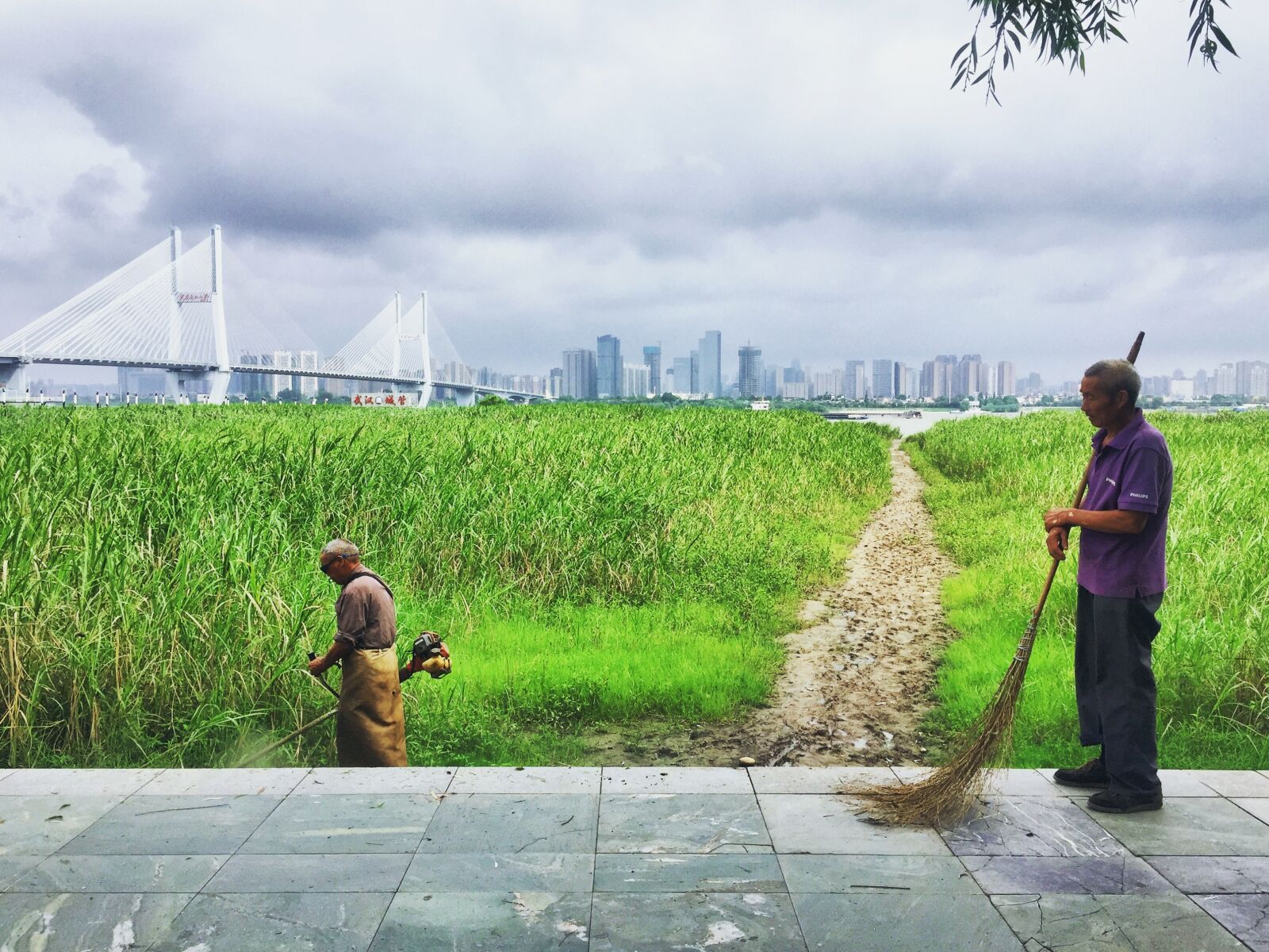 iPhone 6 Plus back camera 4.15mm f/2.2 sample photo. Wuhan, cleaners, weeding photography