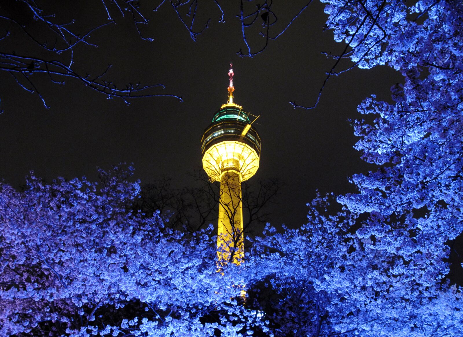 Canon PowerShot G10 sample photo. Tower, beoc flowers, night photography