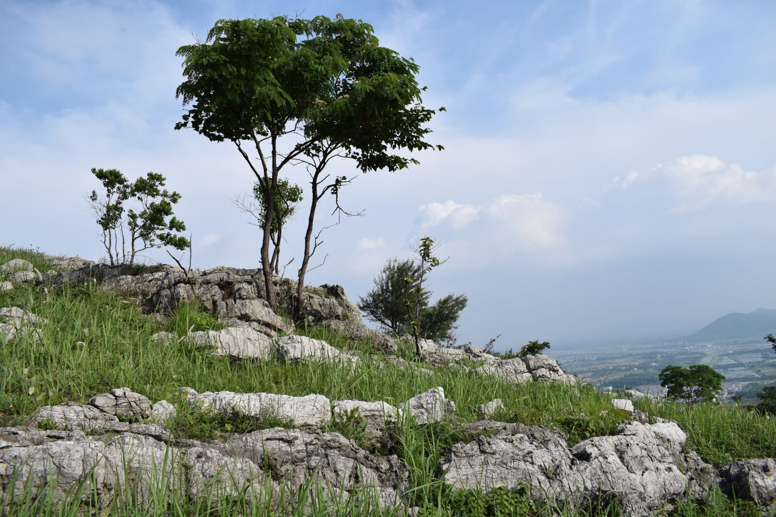 Nikon D5300 sample photo. Trees, rock, mountain climbing photography