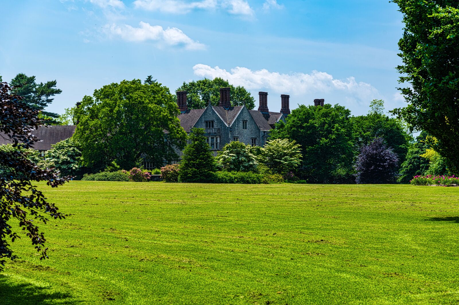 Nikon D750 sample photo. Landscape, trees, scenic photography
