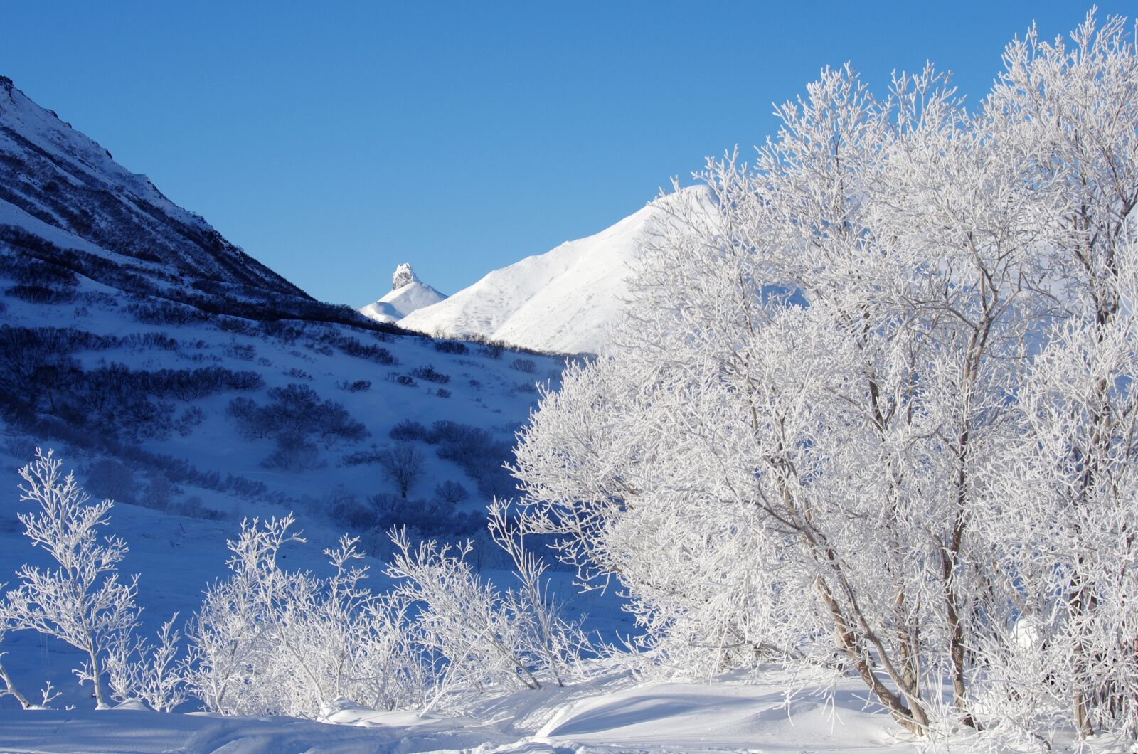 Pentax K-5 sample photo. Mountains, forest, winter photography