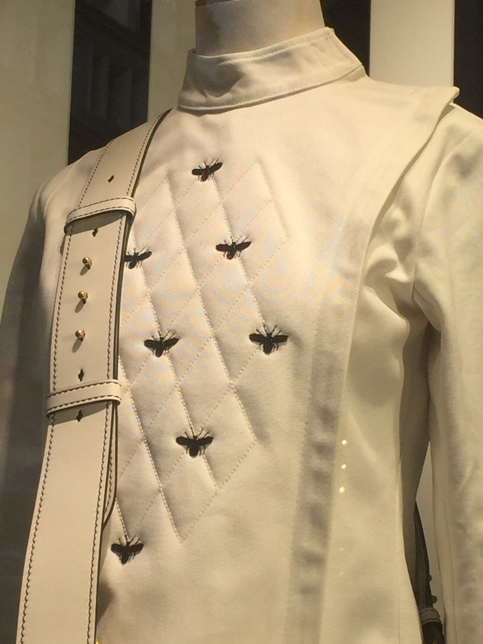 iPhone 6 back camera 4.15mm f/2.2 sample photo. Bee, clothing, design, dior photography