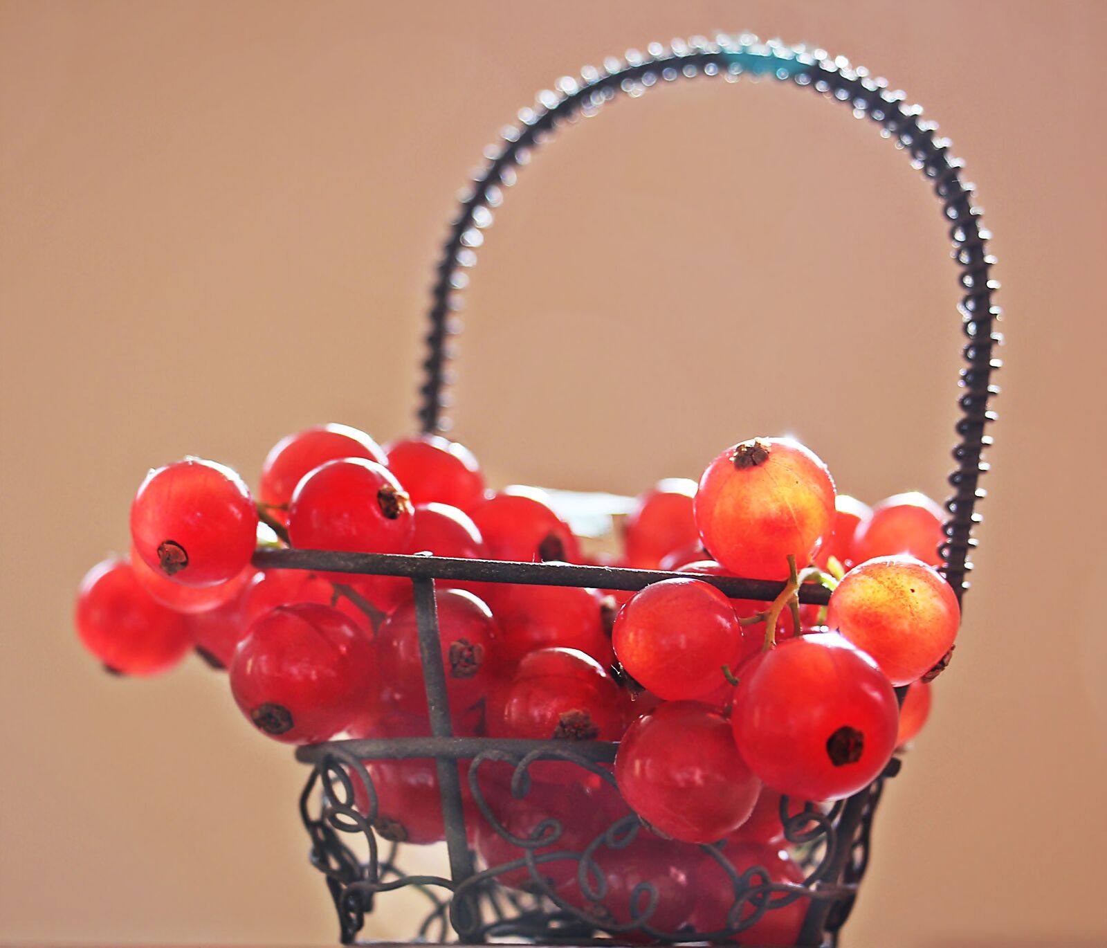 Canon EOS 550D (EOS Rebel T2i / EOS Kiss X4) sample photo. Currants, fruit, red currant photography