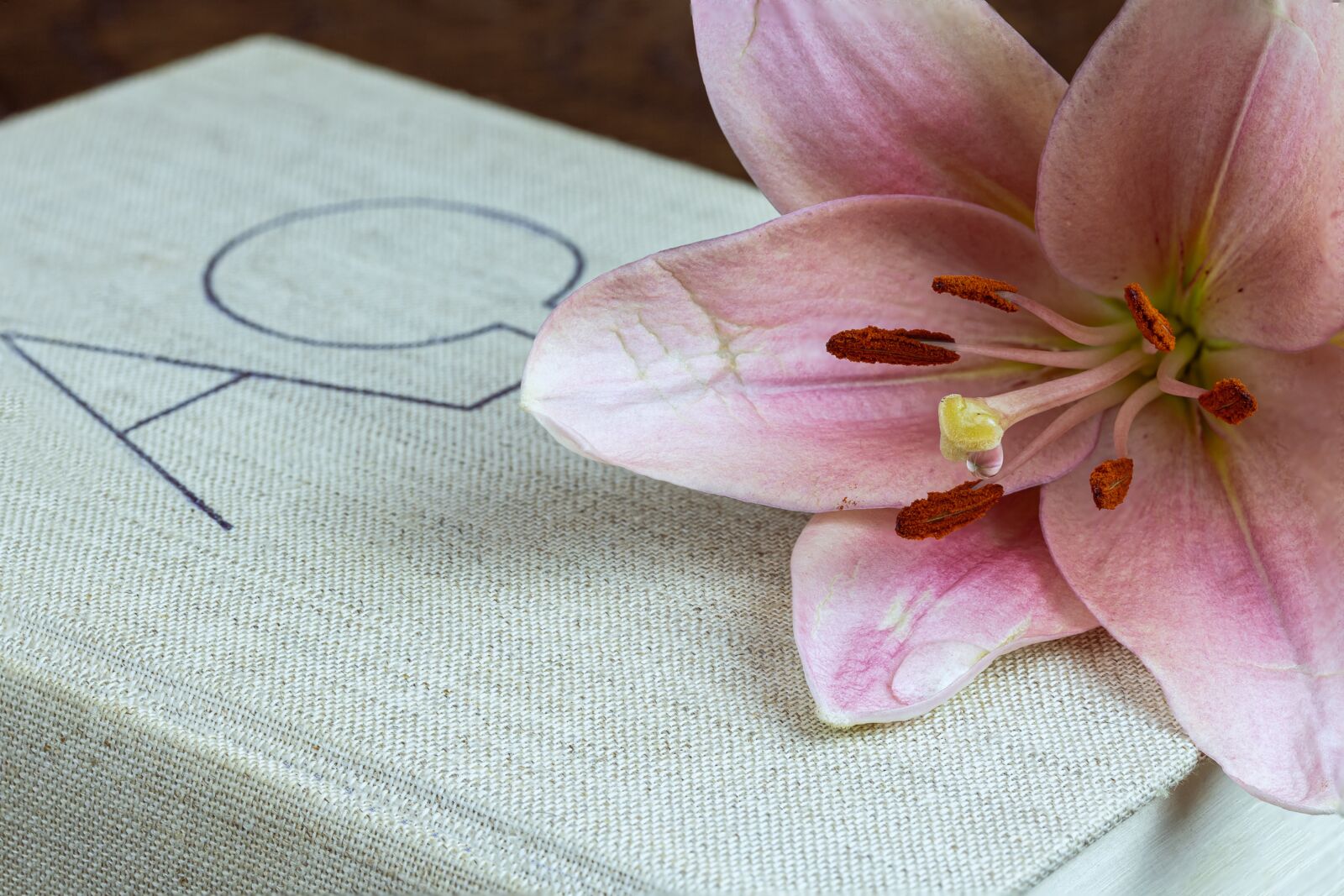 Canon EOS R sample photo. Lily, bible, drip photography