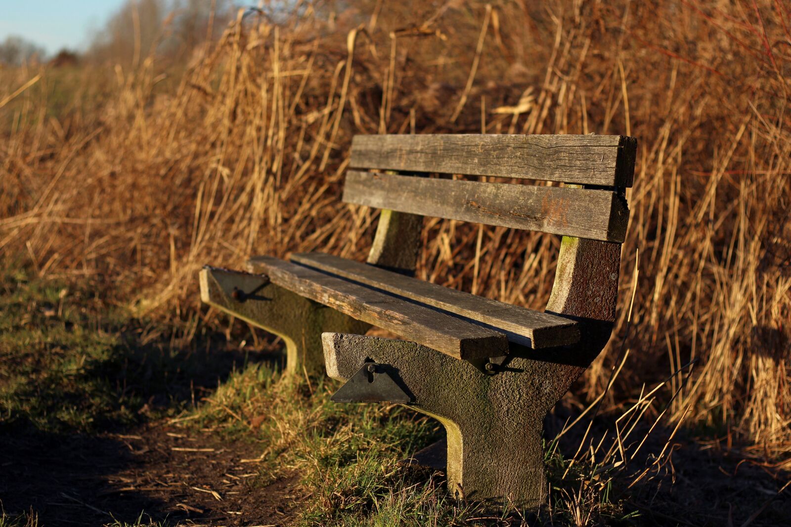 Canon EF 50mm F1.8 STM sample photo. Bank, bench, seat photography