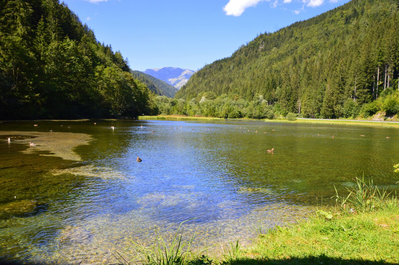 Nikon D3200 sample photo. Lake, summer, nature photography