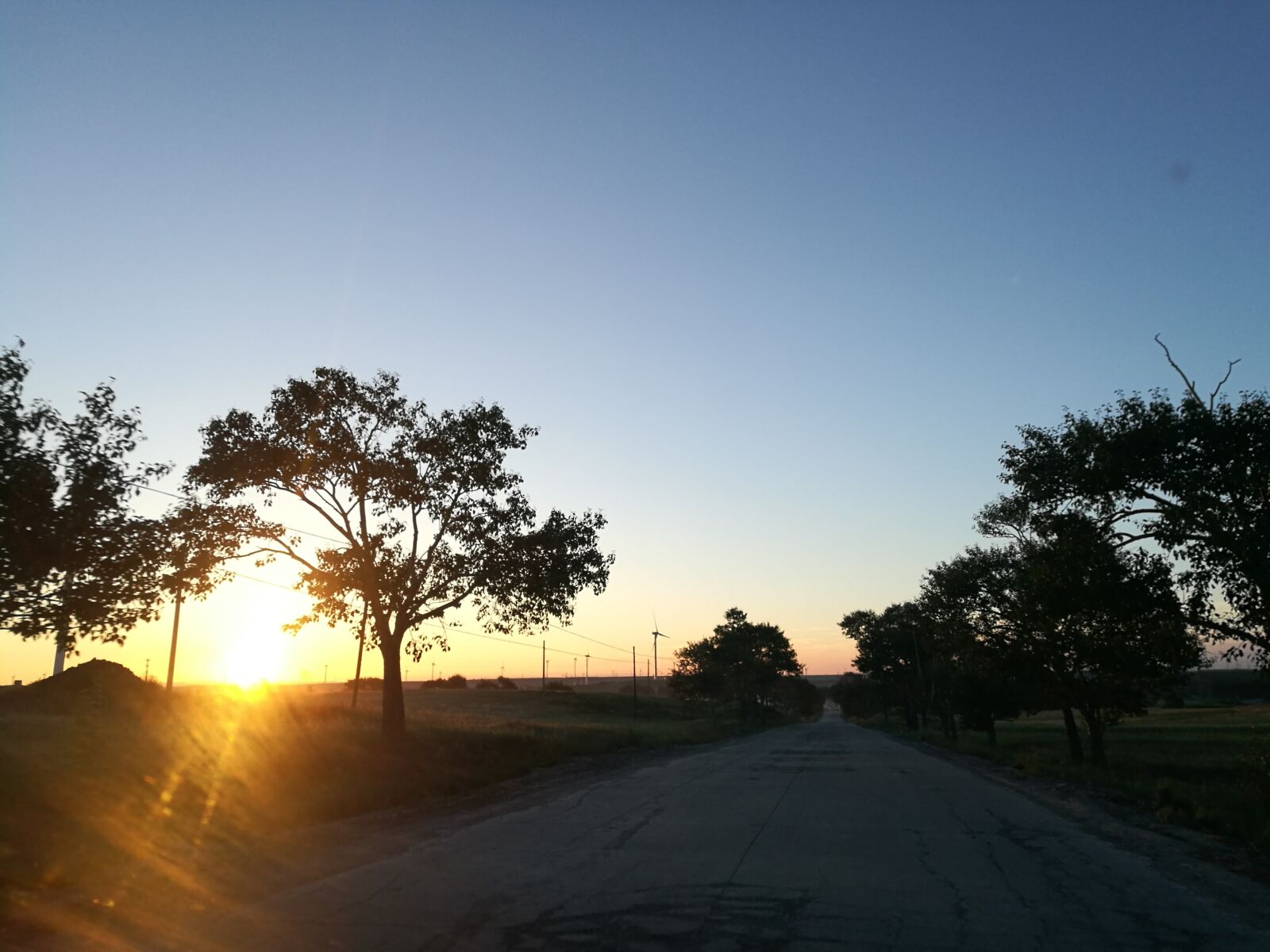 HUAWEI P9 sample photo. Morning, road, tree photography