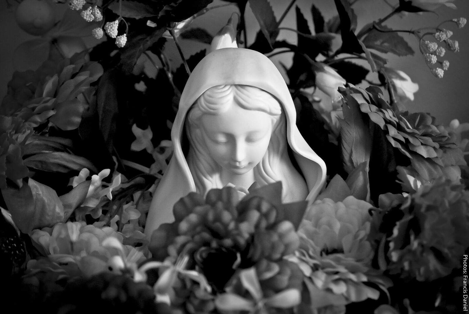 Nikon D200 sample photo. Statue photography