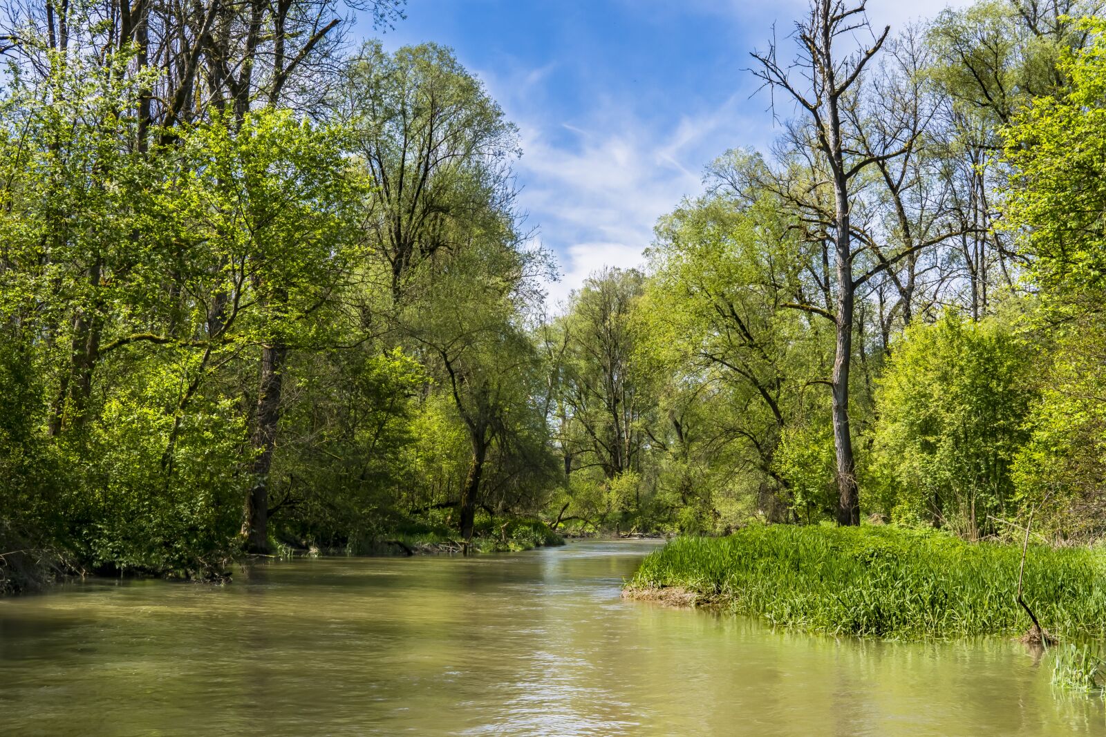 Sigma 30mm F2.8 EX DN sample photo. Bach, river, water photography