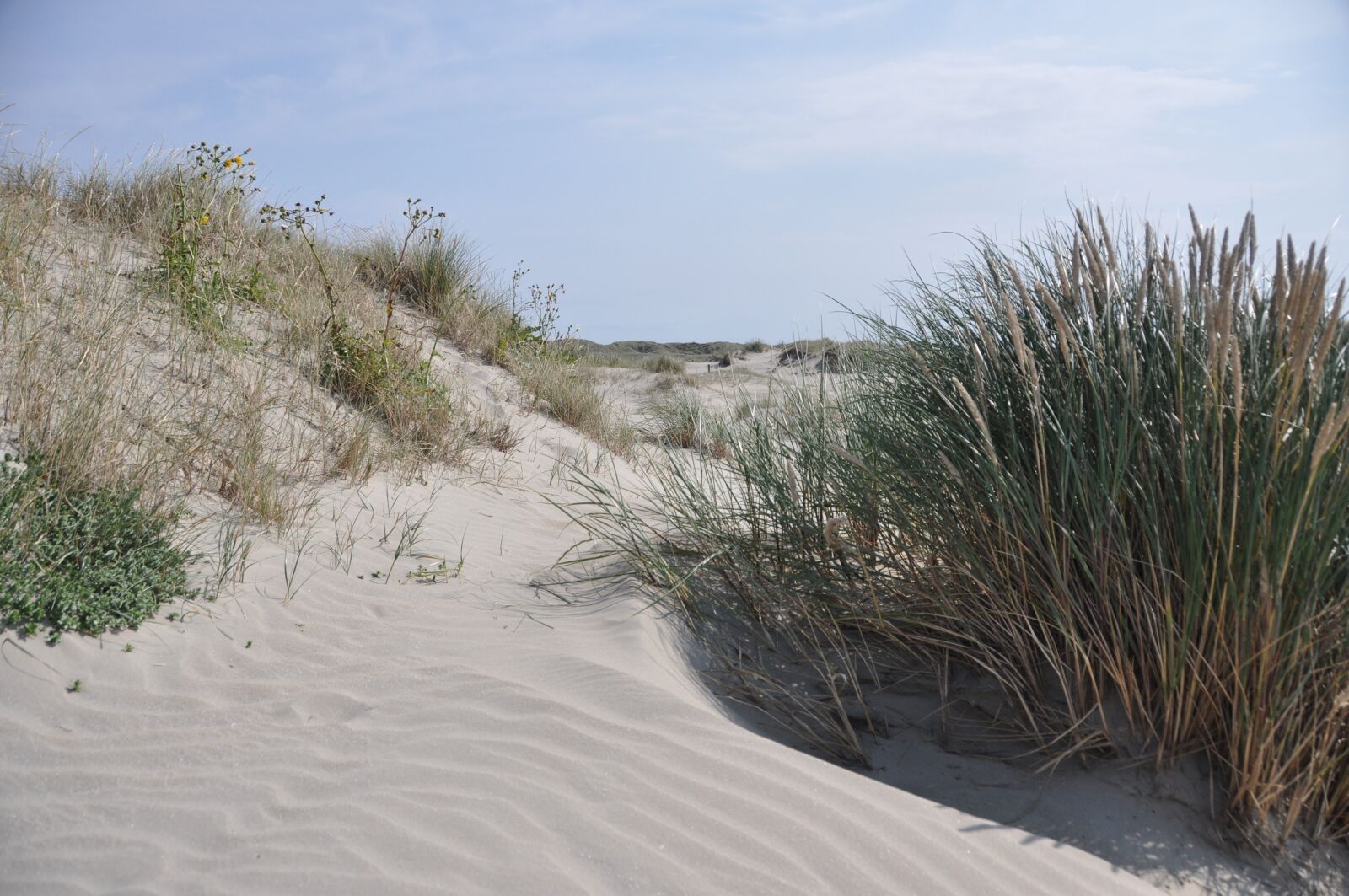 Nikon D90 sample photo. Sand, dunes, marram grass photography