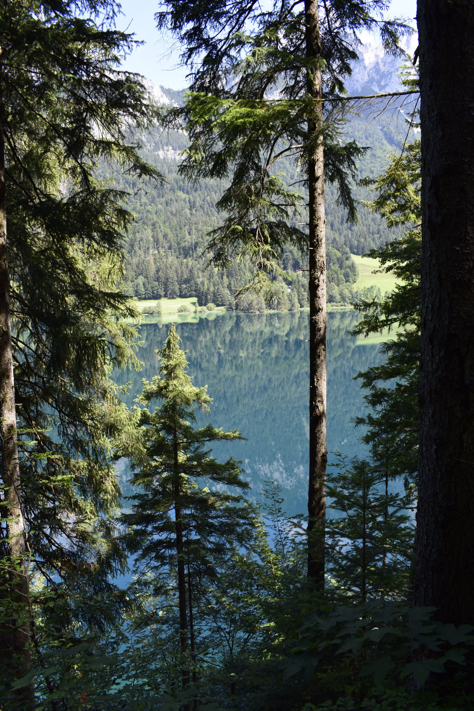 Nikon D3300 sample photo. Austria, nature, lake photography