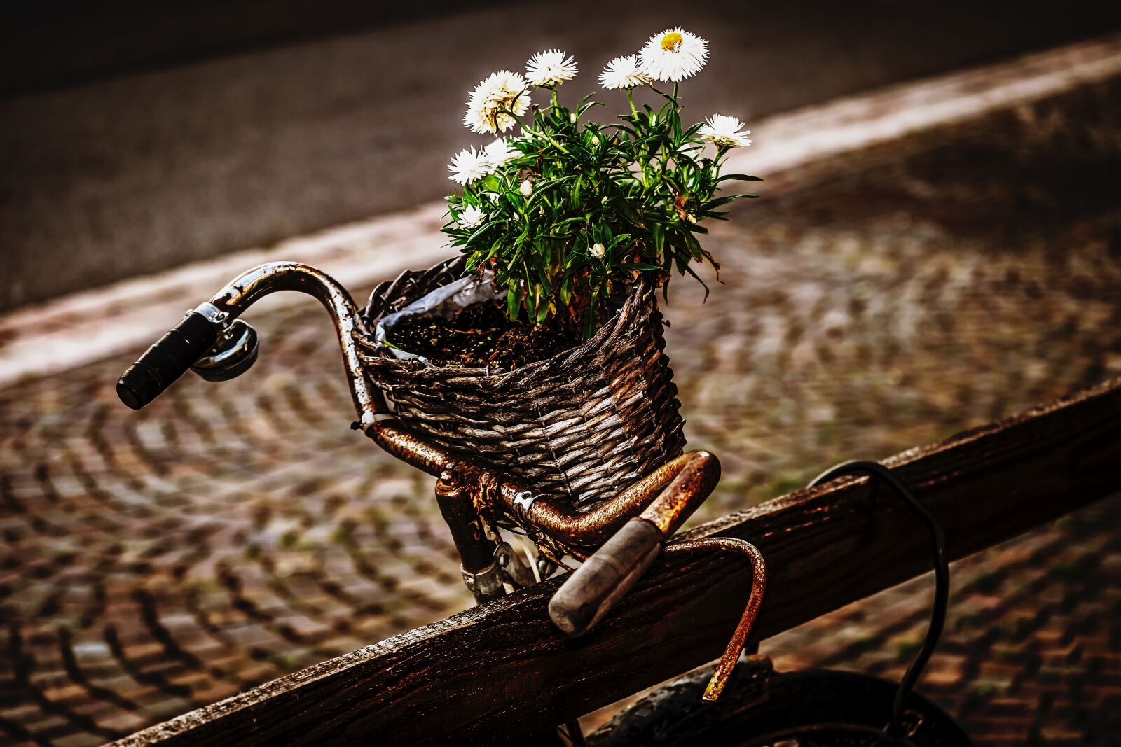 Fujifilm XF 55-200mm F3.5-4.8 R LM OIS sample photo. Bike, two wheeled vehicle photography