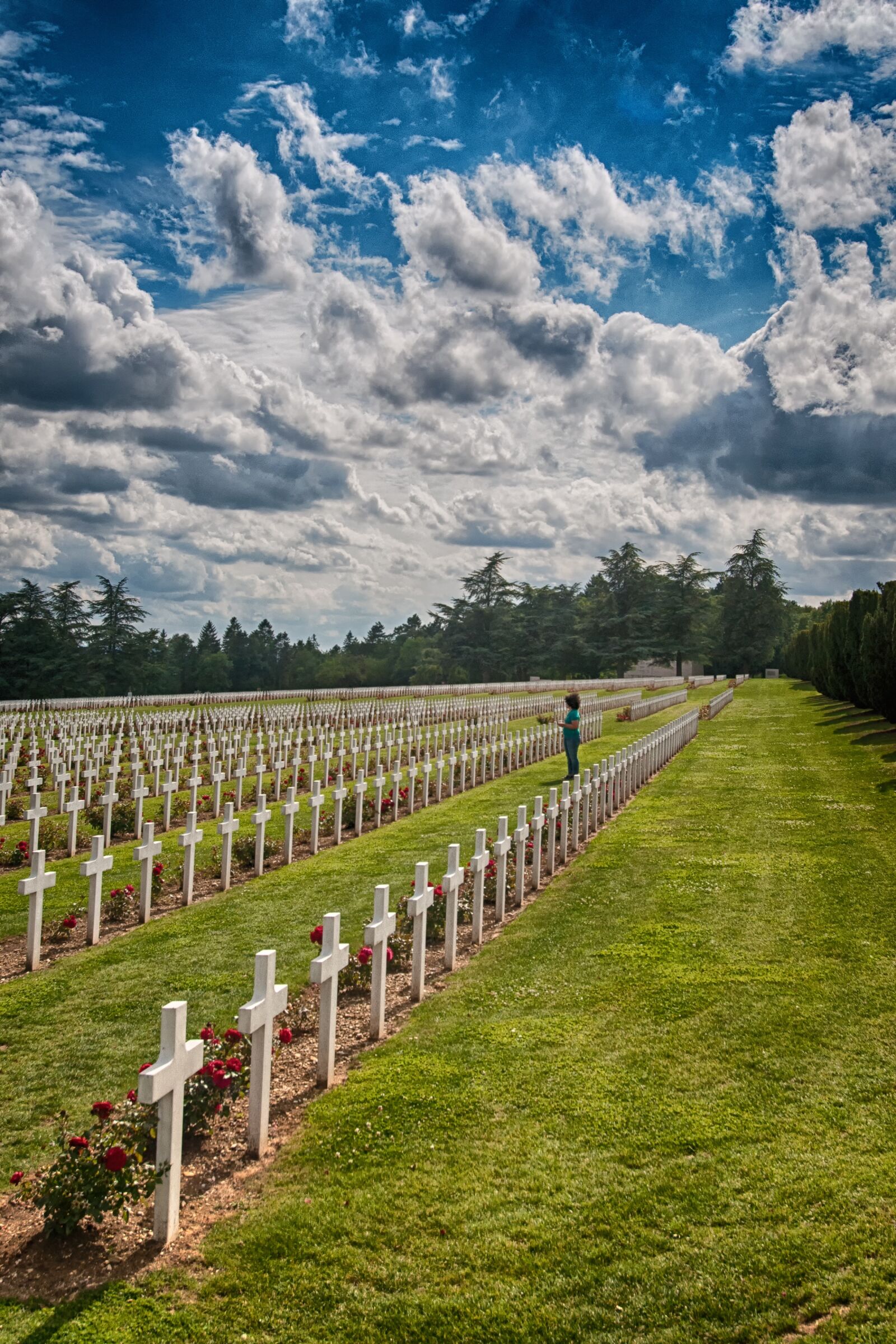 Nikon D300S sample photo. Graves, douaumont, verdun photography